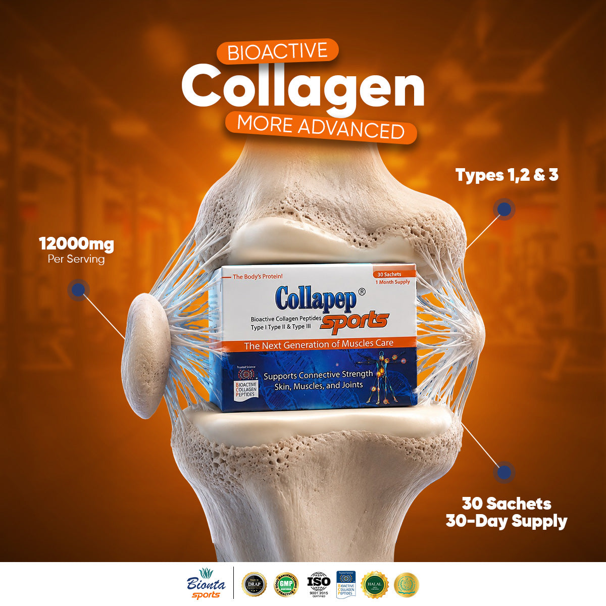 12g Bioactive Collagen Peptides for Joints, Recovery & Active Living