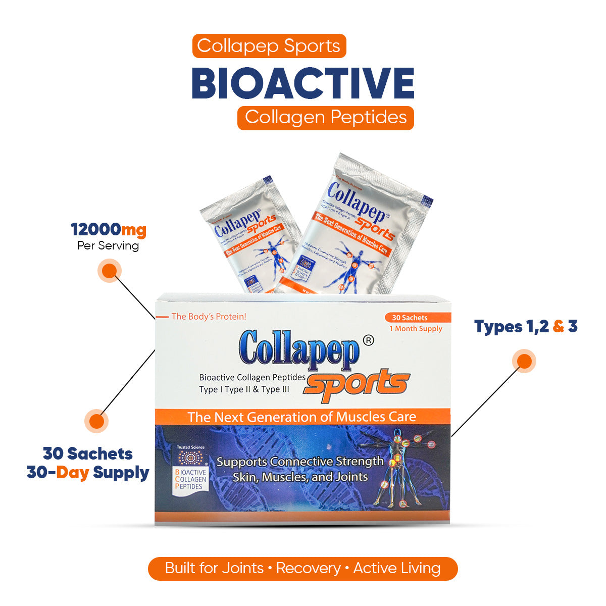 12g Bioactive Collagen Peptides for Joints, Recovery & Active Living