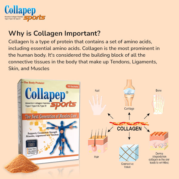 Collapep®Sports - Bioactive Collagen Peptides